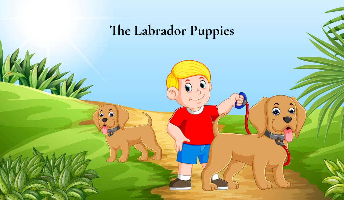 The Labrador Puppies