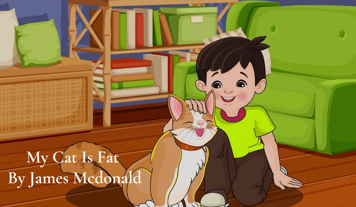 My Cat Is Fat By James Mcdonald